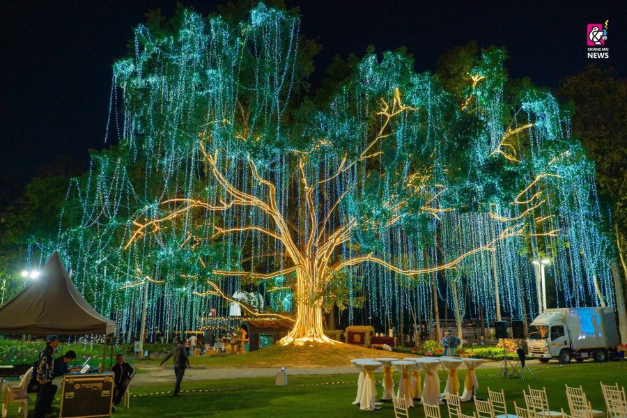 Other activities in Chiangmai