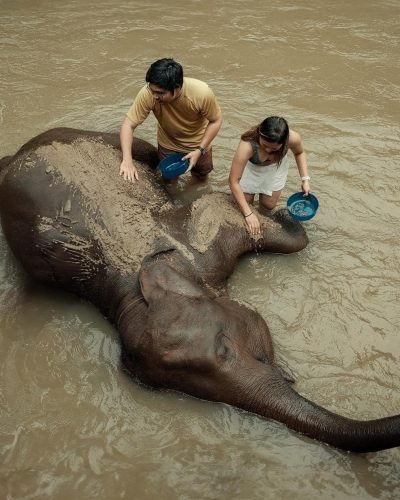 Bamboo Rafting and Play with Elephants