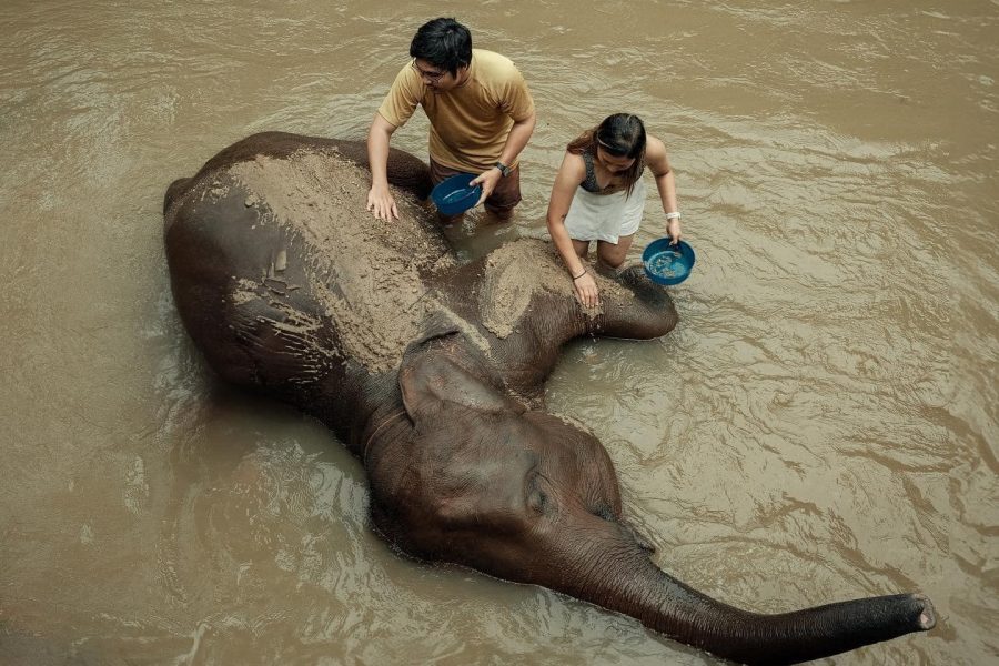 Bamboo Rafting and Play with Elephants