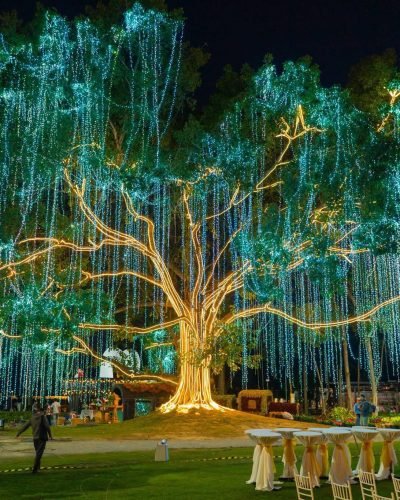 Other activities in Chiangmai